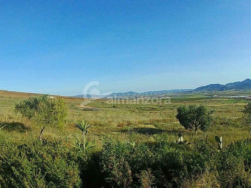 Maalaistalo myytävänä paikassa Lorca - 125 000 € (Ref: 5572595)