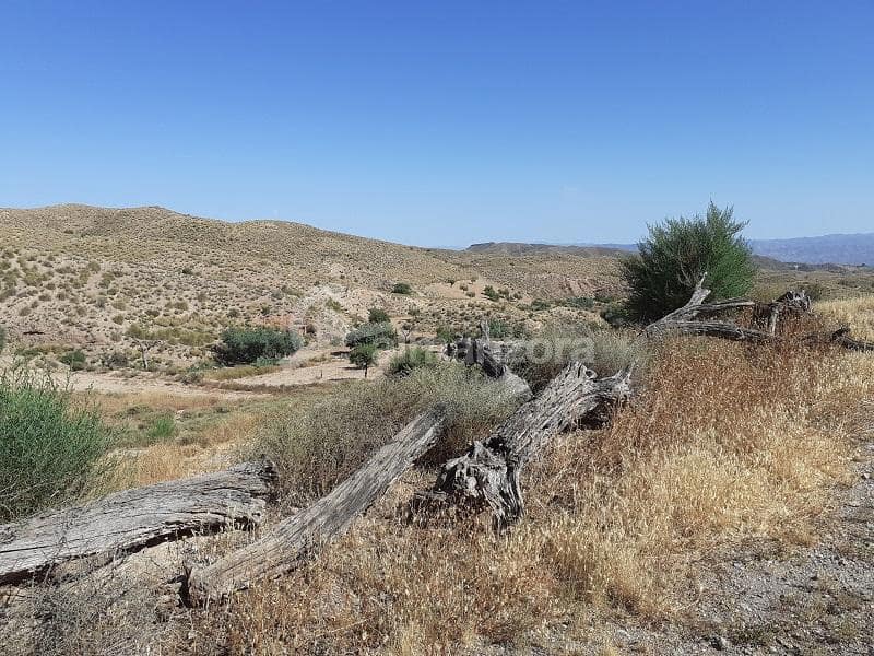 Finca/Casa Rural en Albox en venta - 75.000 € (Ref: 6960698)