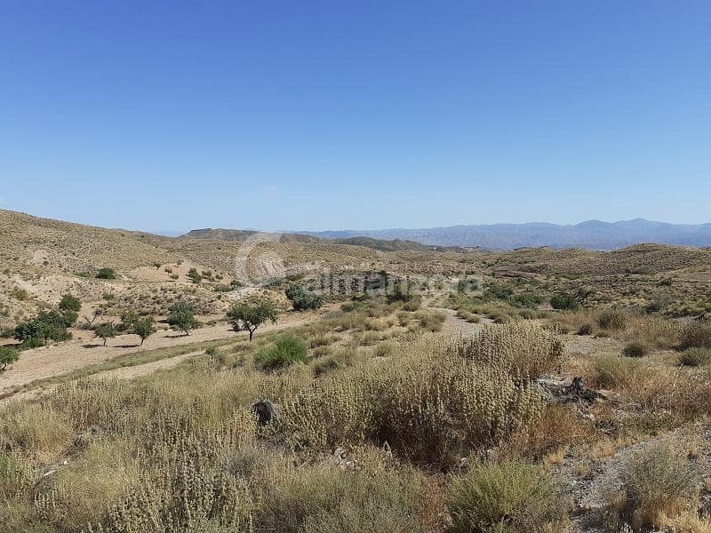 Finca/Casa Rural en Albox en venta - 75.000 € (Ref: 6960698)