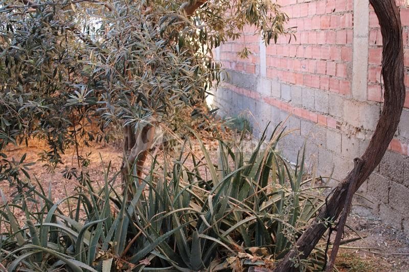 4 soveværelse Byhus til salg i Almanzora - € 65.000 (Ref: 7078801)