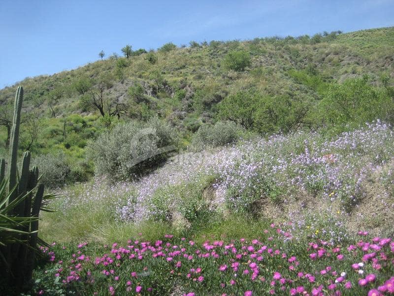 5 bedroom Finca/Country House for sale in Taberno - € 175,000 (Ref: 7356277)