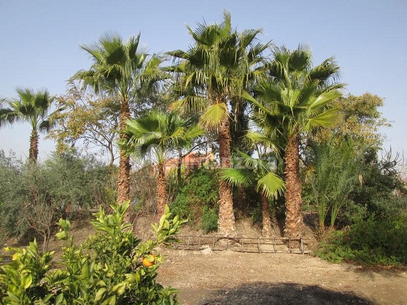 3 soveværelse Villa til salg i Urcal med swimmingpool - € 280.000 (Ref: 7414205)