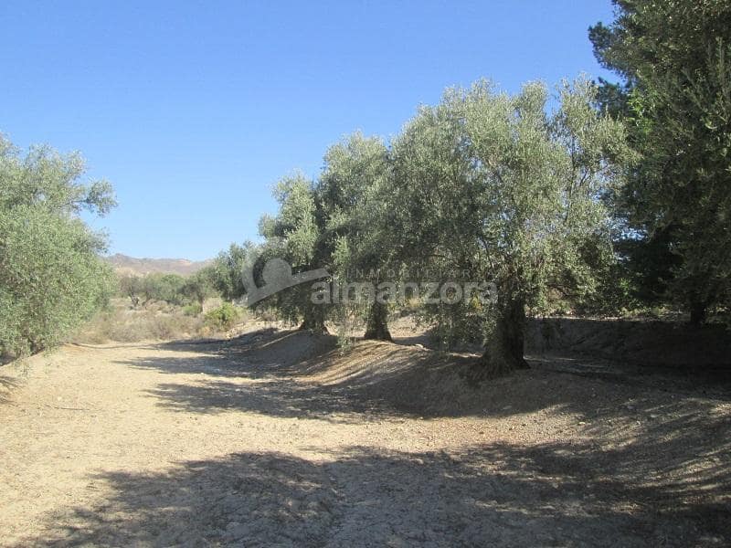 6 slaapkamer Finca/Landhuis te koop in Partaloa - € 395.000 (Ref: 8396527)