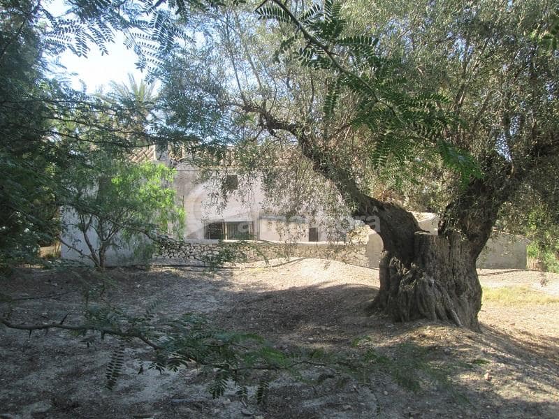 6 slaapkamer Finca/Landhuis te koop in Partaloa - € 395.000 (Ref: 8396527)