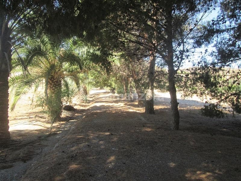 6 slaapkamer Finca/Landhuis te koop in Partaloa - € 395.000 (Ref: 8396527)