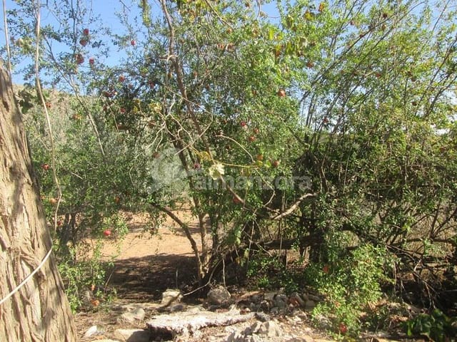 Finca/Landehus til salg i Cantoria - € 29.000 (Ref: 8662086)