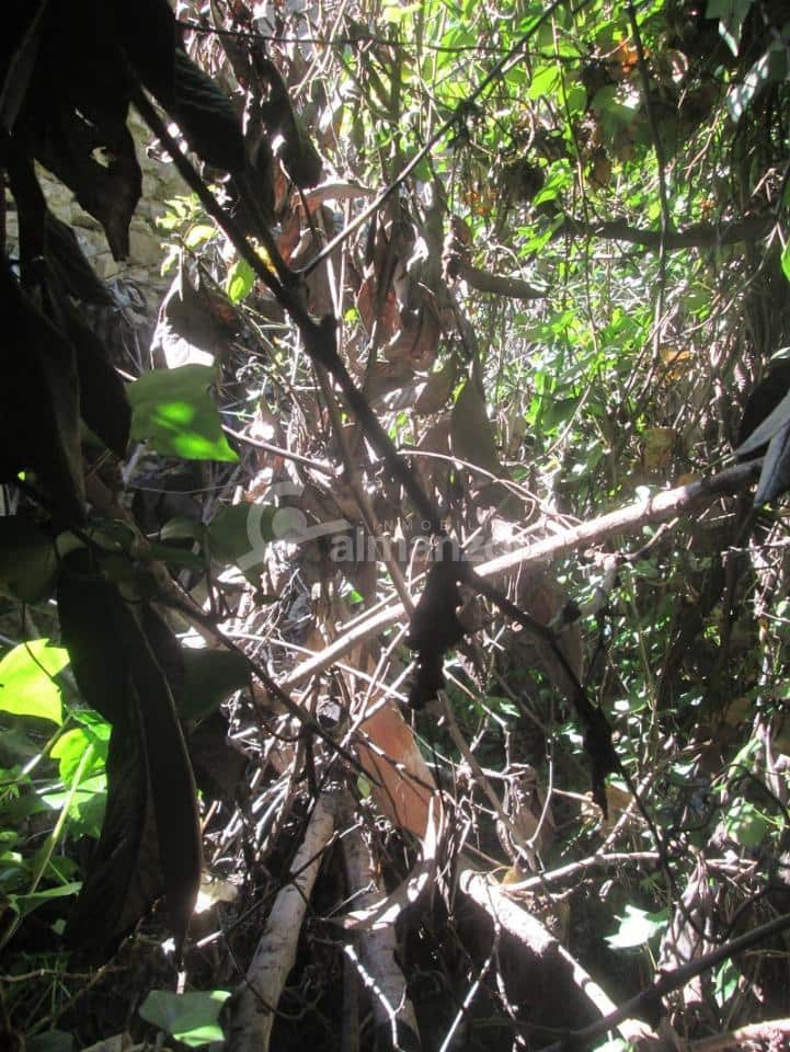 2 soverom Hus til salgs i Chirivel - € 25 000 (Ref: 8954066)