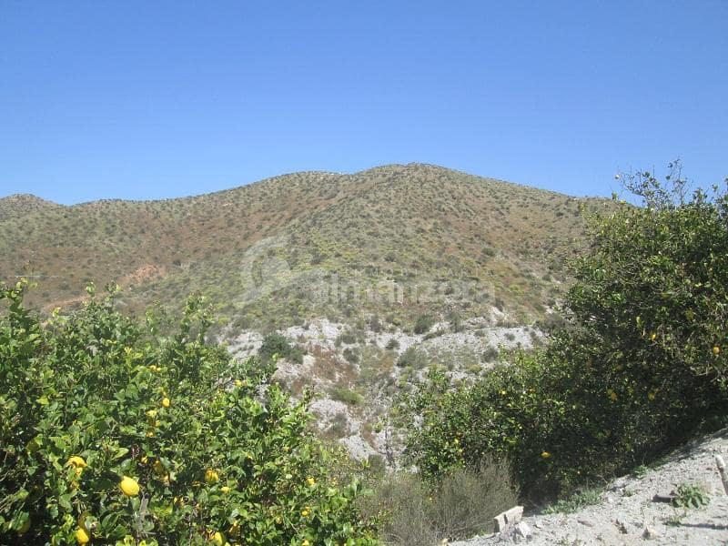 Kommersiell til salgs i Cantoria - € 398 000 (Ref: 9758389)