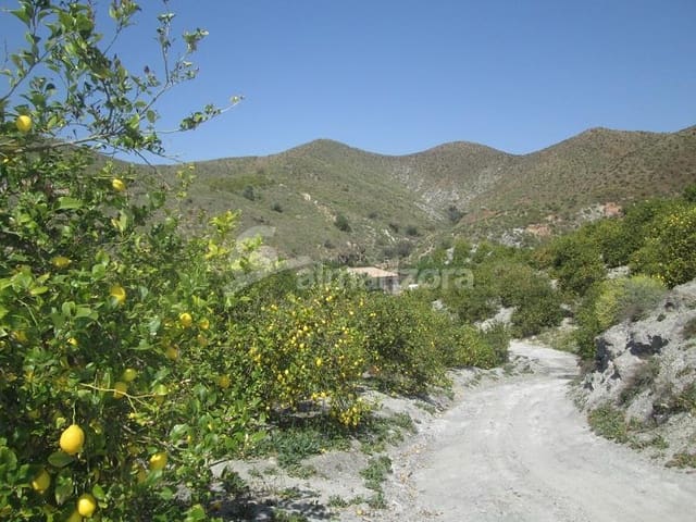 Local Commercial à vendre à Cantoria - 398 000 € (Ref: 9758389)