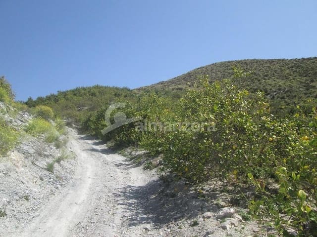 Local Commercial à vendre à Cantoria - 398 000 € (Ref: 9758389)