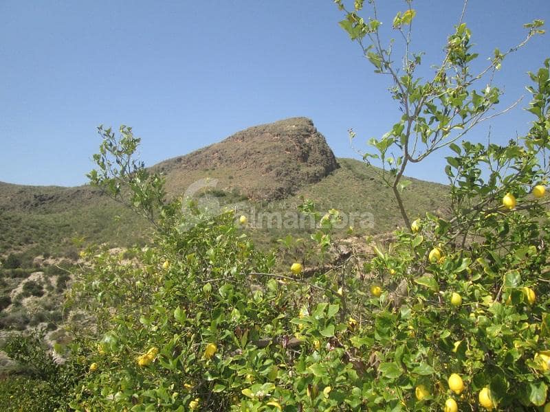 Kommersiell til salgs i Cantoria - € 398 000 (Ref: 9758389)