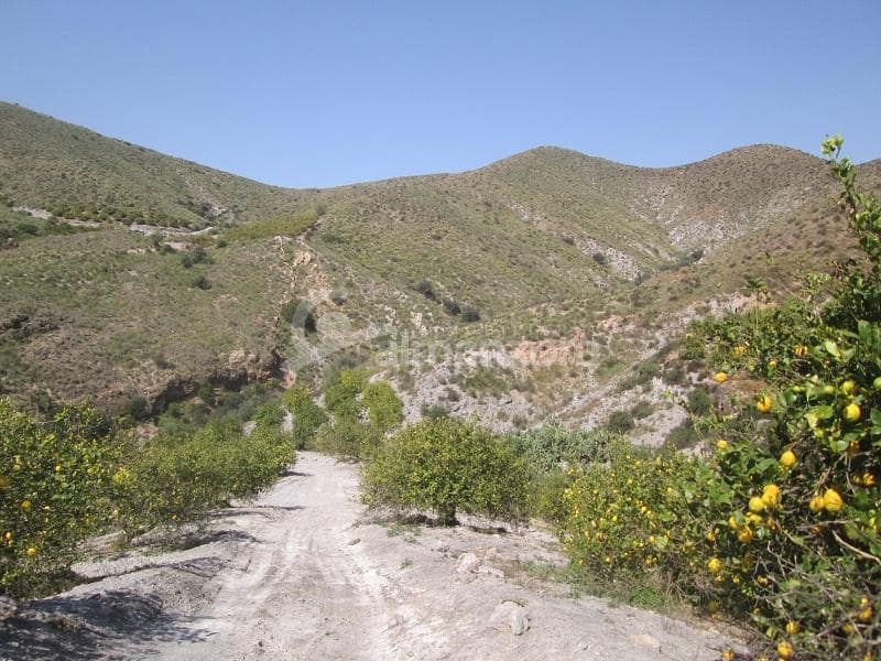 Kommersiell til salgs i Cantoria - € 398 000 (Ref: 9758389)