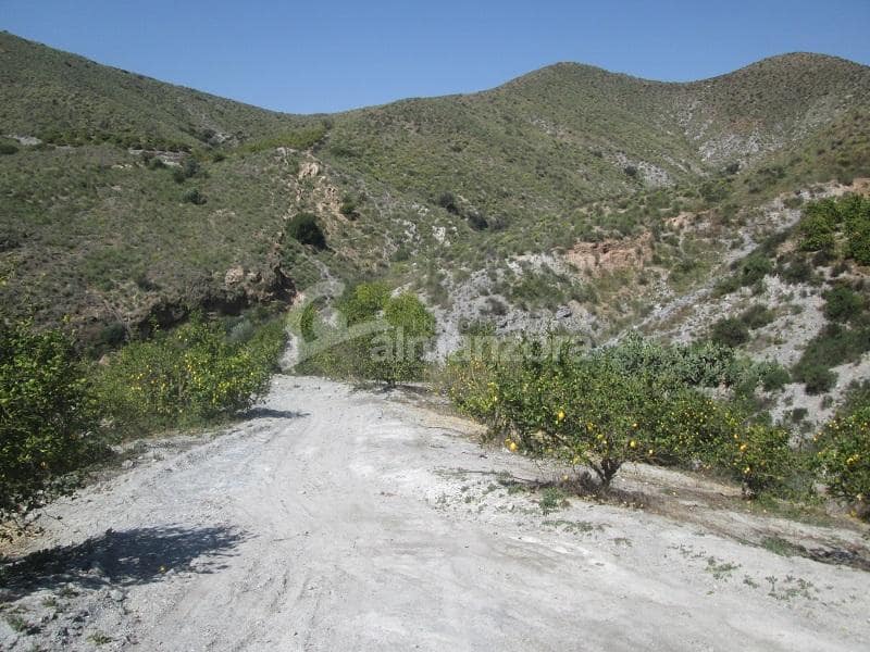 Kommersiell til salgs i Cantoria - € 398 000 (Ref: 9758389)