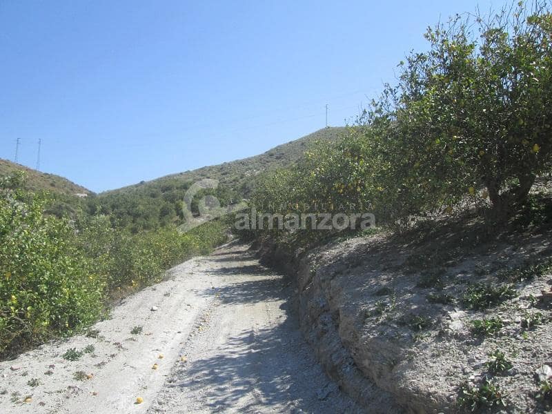 Kommersiell til salgs i Cantoria - € 398 000 (Ref: 9758389)