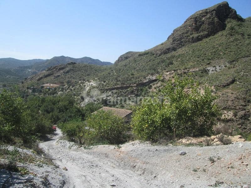 Kommersiell til salgs i Cantoria - € 398 000 (Ref: 9758389)