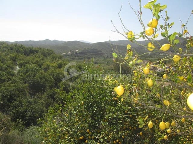 Local Commercial à vendre à Cantoria - 398 000 € (Ref: 9758389)