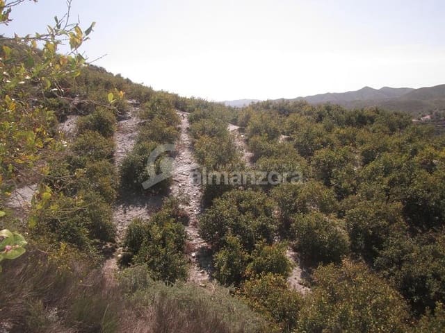 Local Commercial à vendre à Cantoria - 398 000 € (Ref: 9758389)