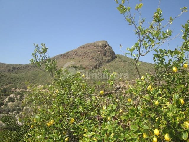 Local Commercial à vendre à Cantoria - 398 000 € (Ref: 9758389)