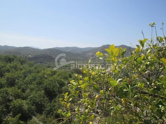 Local Commercial à vendre à Cantoria - 398 000 € (Ref: 9758389)