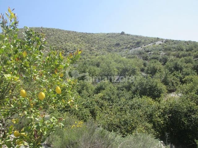 Local Commercial à vendre à Cantoria - 398 000 € (Ref: 9758389)