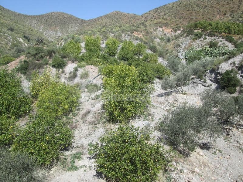 Kommersiell til salgs i Cantoria - € 398 000 (Ref: 9758389)