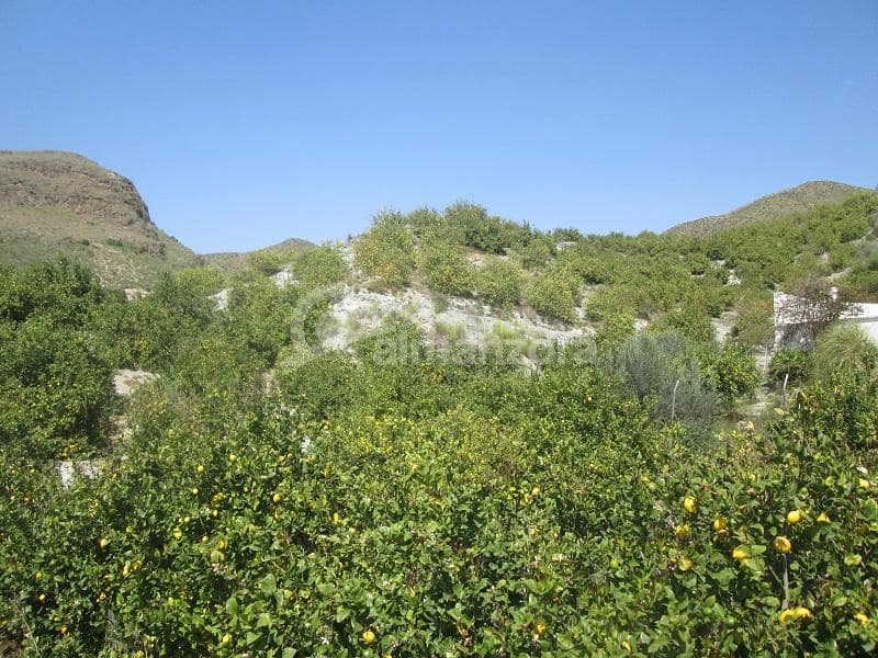 Kommersiell til salgs i Cantoria - € 398 000 (Ref: 9758389)