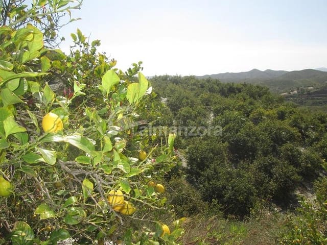 Local Commercial à vendre à Cantoria - 398 000 € (Ref: 9758389)