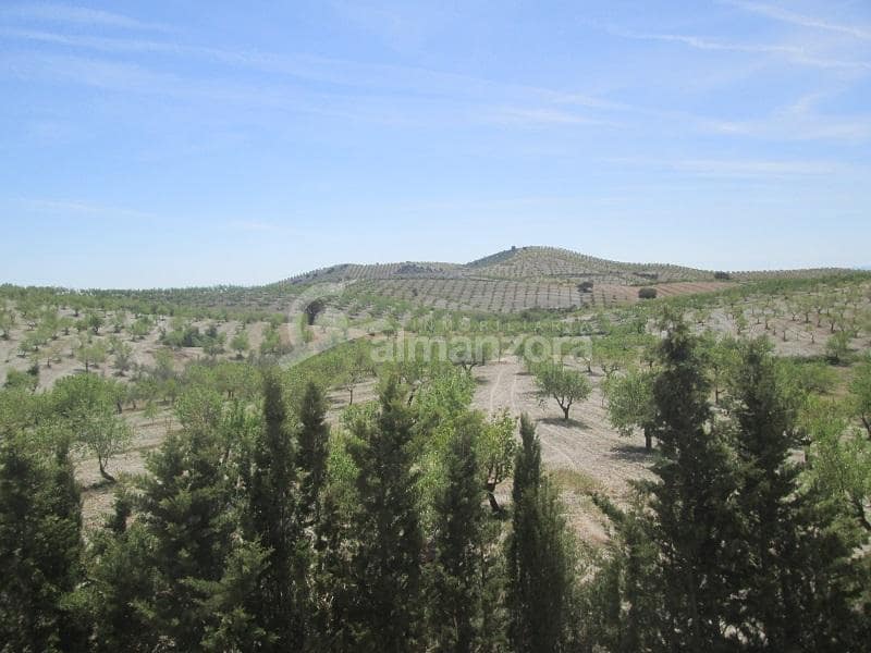 5 bedroom Finca/Country House for sale in Saliente Alto - € 149,950 (Ref: 9793965)