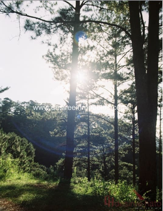 5 soveværelse Villa til salg i Campolivar med swimmingpool garage - € 1.690.000 (Ref: 7568998)