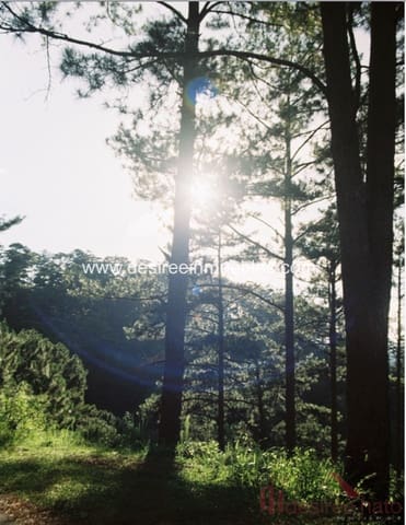 5 soverom Villa til salgs i Campolivar, Godella med svømmebasseng garasje - € 1 690 000 (Ref: 7568998)