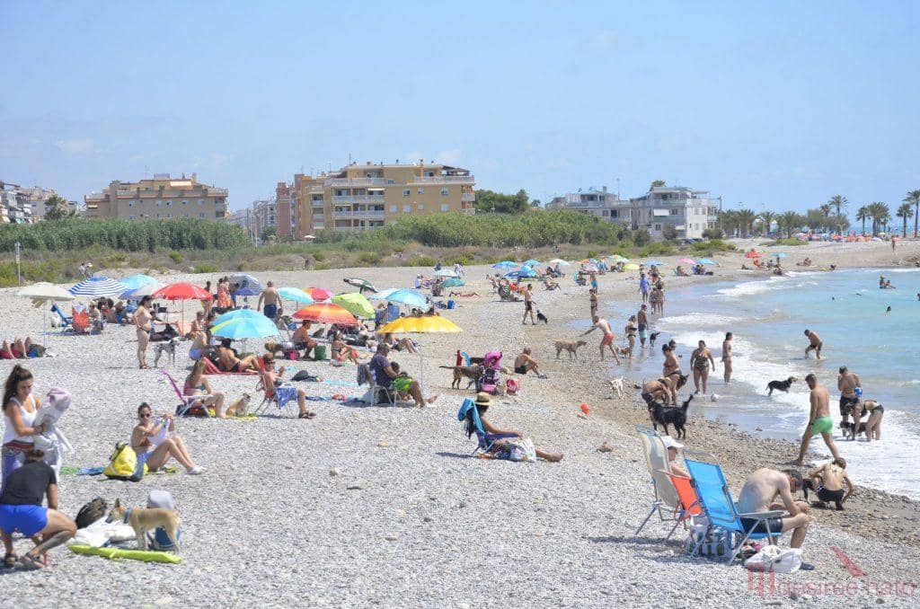 Działka budowlana na sprzedaż w Moncofa - 243 000 € (Ref: 7752653)