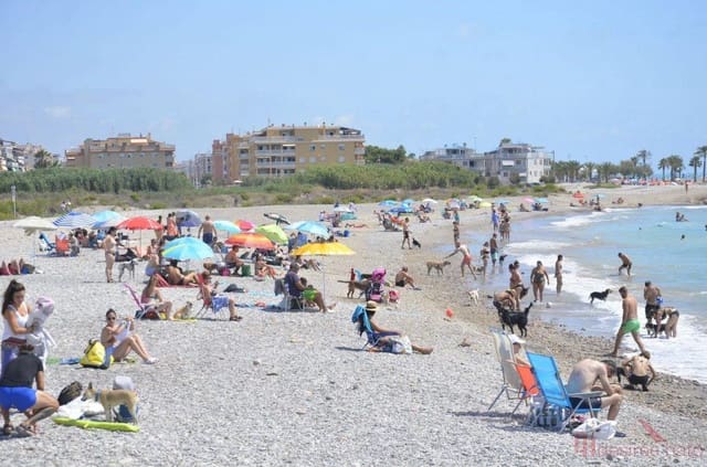 Building Plot for sale in Moncofa - € 243,000 (Ref: 7752653)