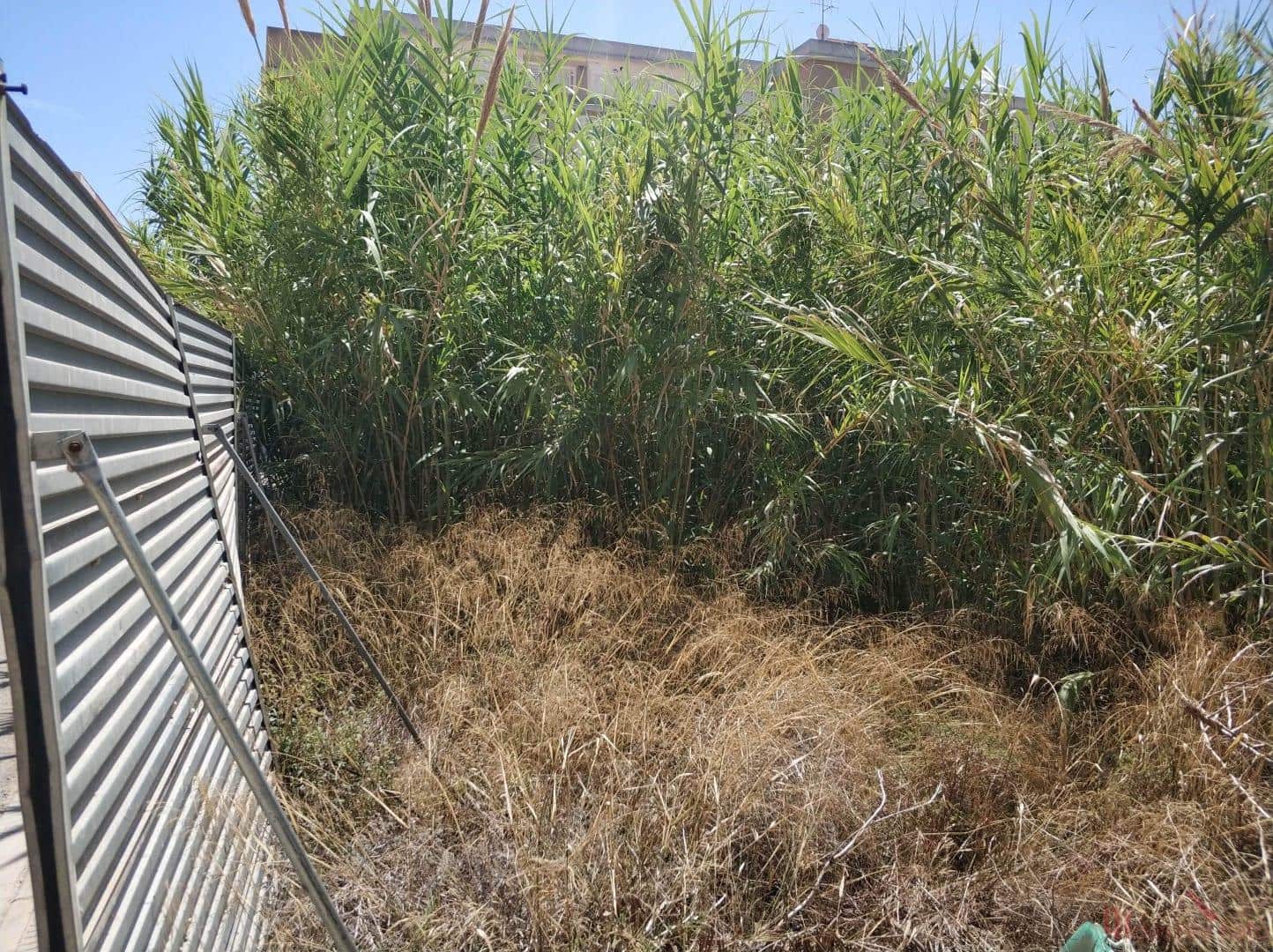 Działka budowlana na sprzedaż w Moncofa - 243 000 € (Ref: 7752653)