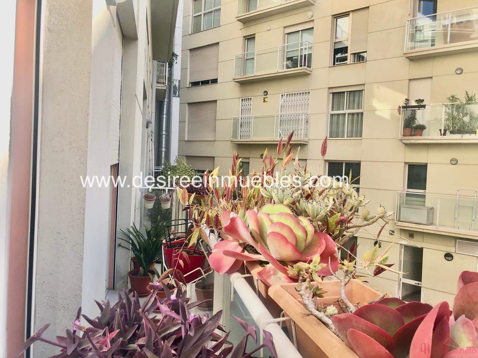 3 sypialnia Mieszkanie na sprzedaż w Miasto Walencja - 925 000 € (Ref: 8313463)