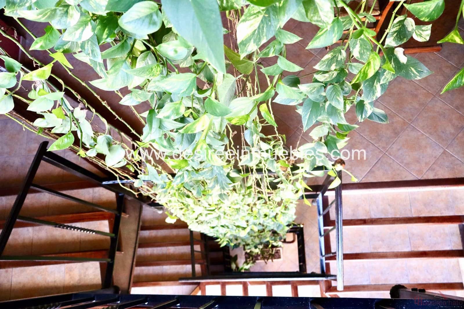 10 soveværelse Hotel til salg i Suera - € 750.000 (Ref: 8449397)