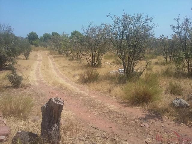 Działka budowlana na sprzedaż w Benicàssim - 98 000 € (Ref: 9488003)