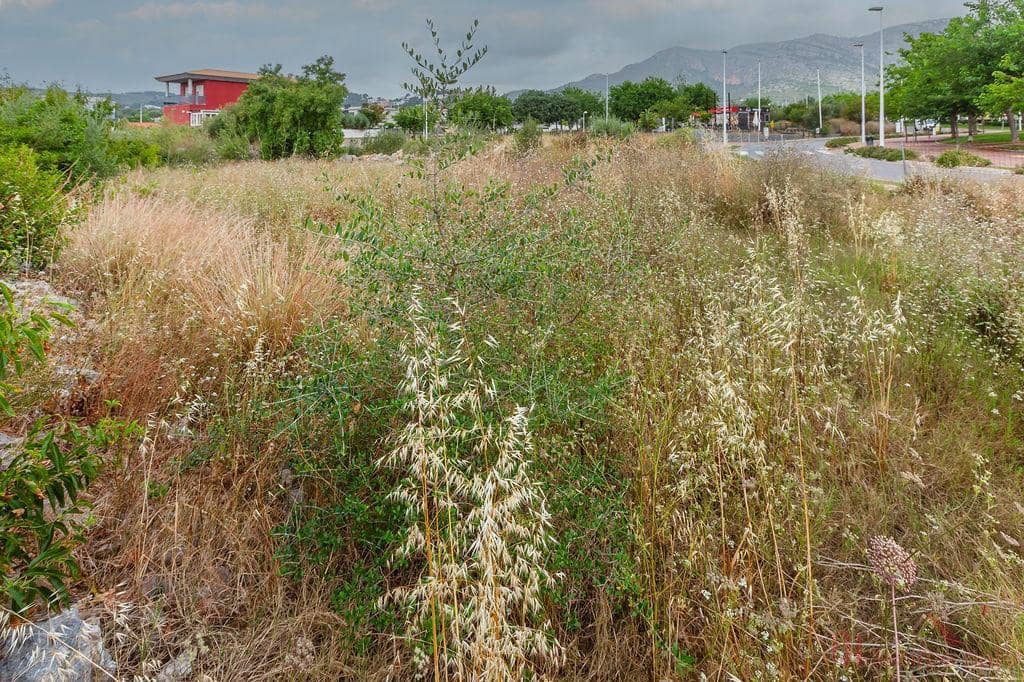 Byggegrund til salg i Oropesa  - € 56.000 (Ref: 9524569)