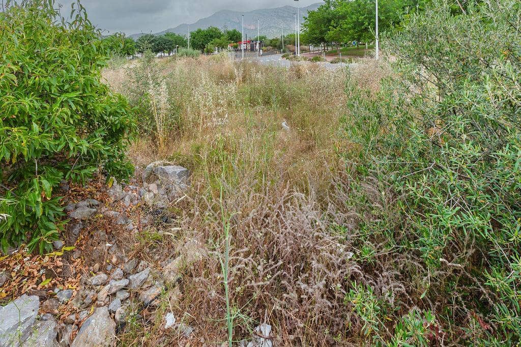 Byggegrund til salg i Oropesa  - € 56.000 (Ref: 9524569)