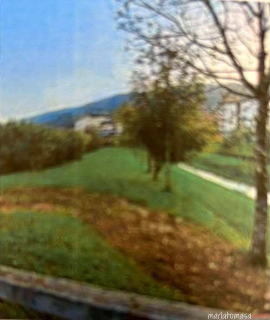 Grunde uden byggetilladelser til salg i Valle de Trapaga-Trapagaran - € 722.200 (Ref: 8991925)