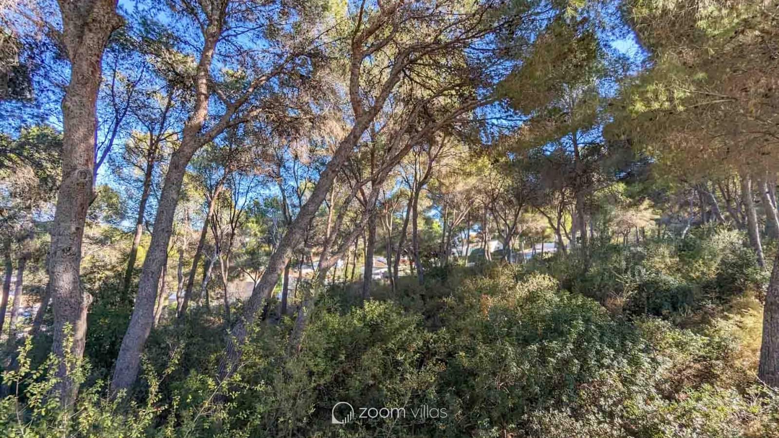 6 Zimmer Villa zu verkaufen in Moraira mit Pool - 4.500.000 € (Ref: 8527432)