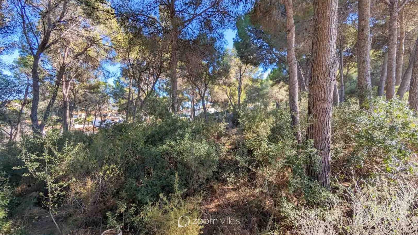 6 Zimmer Villa zu verkaufen in Moraira mit Pool - 4.500.000 € (Ref: 8527432)