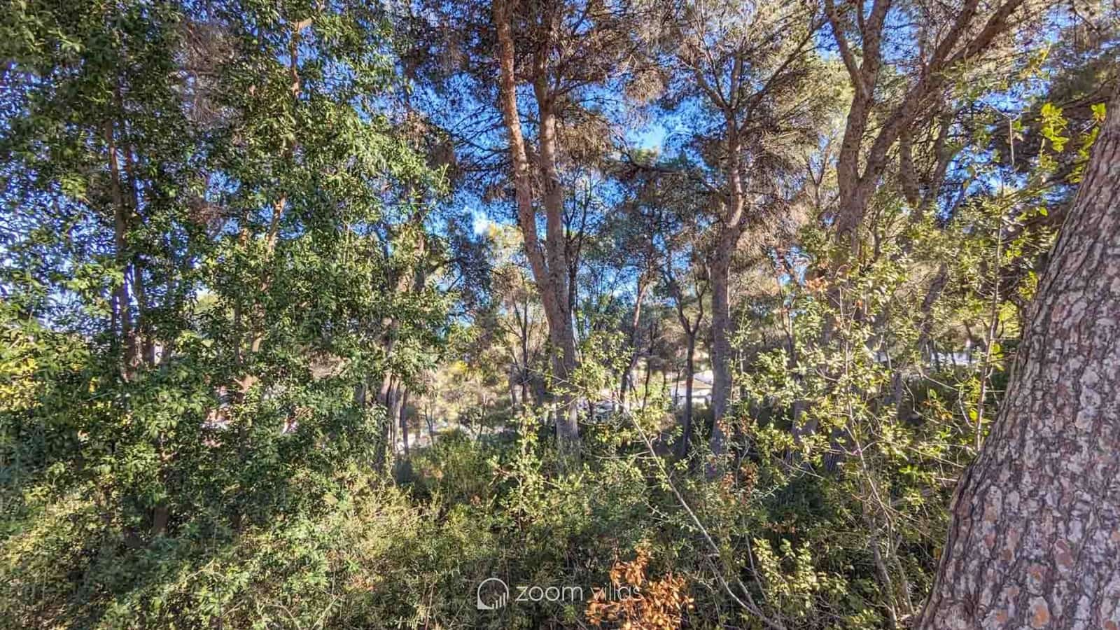 6 Zimmer Villa zu verkaufen in Moraira mit Pool - 4.500.000 € (Ref: 8527432)