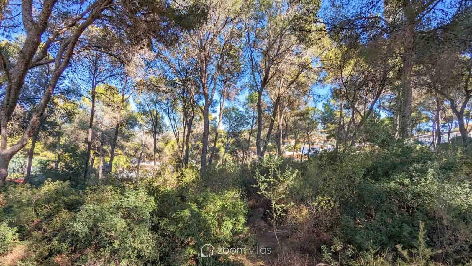 6 Zimmer Villa zu verkaufen in Moraira mit Pool - 4.500.000 € (Ref: 8527432)