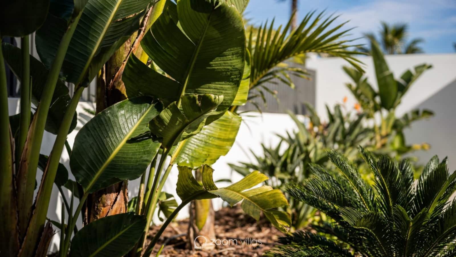 3 bedroom Villa for sale in Calpe / Calp with pool - € 1,345,000 (Ref: 8646204)