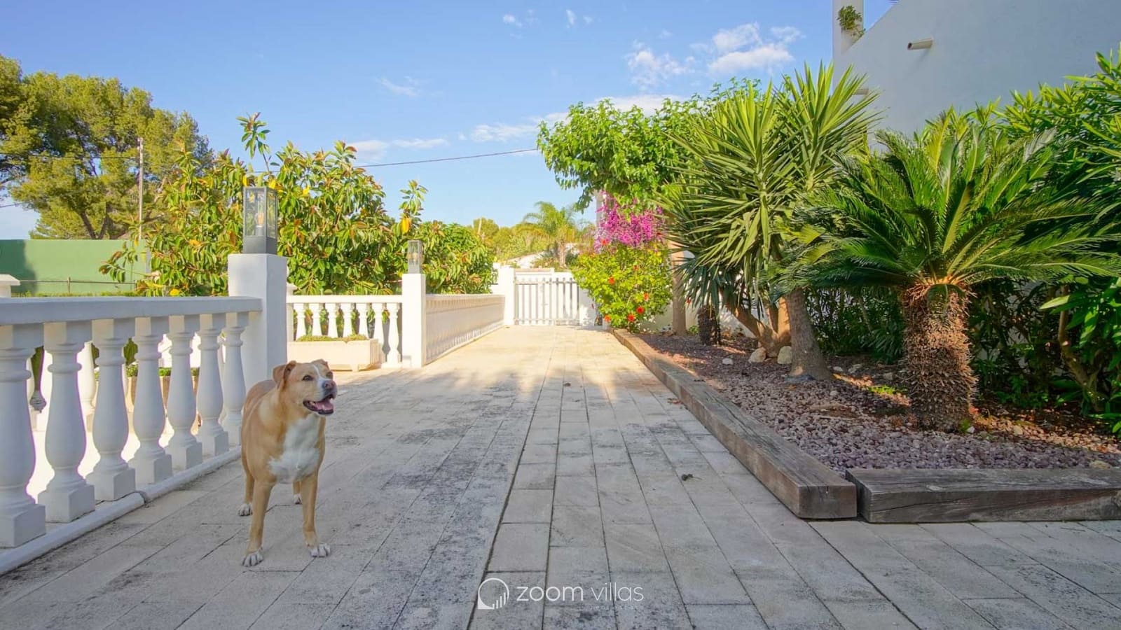 6 bedroom Villa for sale in Denia with pool - € 1,060,000 (Ref: 9064411)