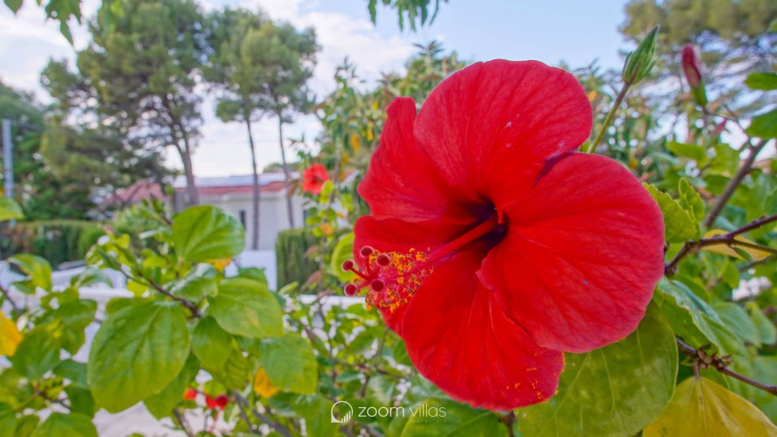 6 bedroom Villa for sale in Denia with pool - € 1,060,000 (Ref: 9064411)