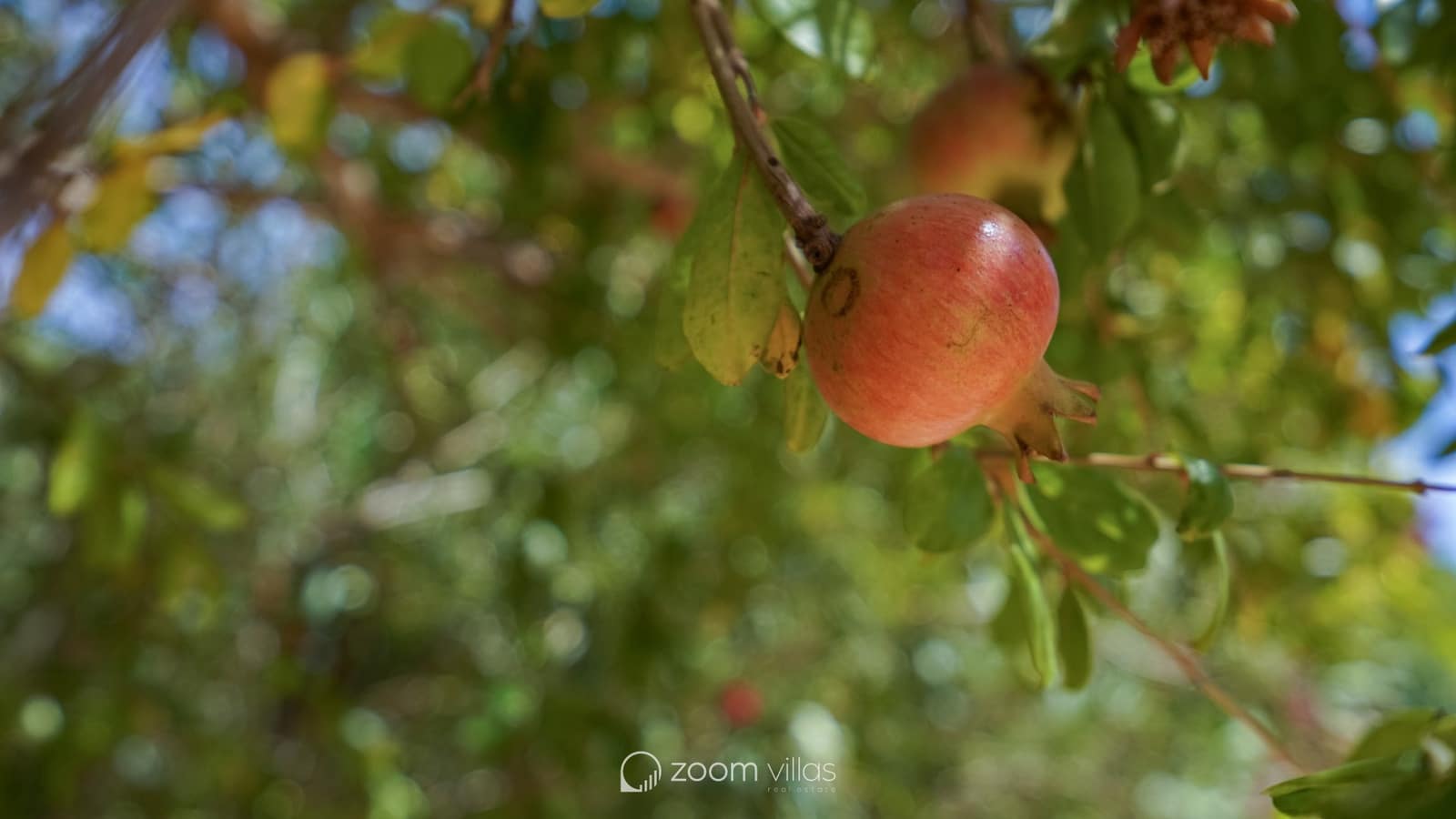 3 bedroom Villa for sale in Javea / Xabia with pool - € 620,000 (Ref: 9220494)