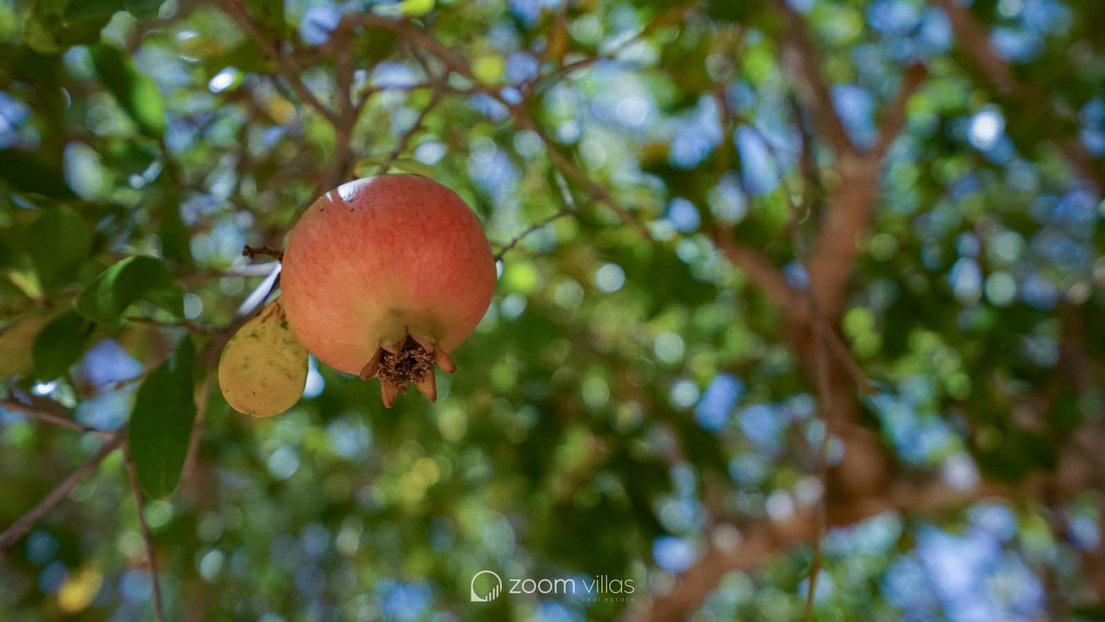 3 bedroom Villa for sale in Javea / Xabia with pool - € 620,000 (Ref: 9220494)