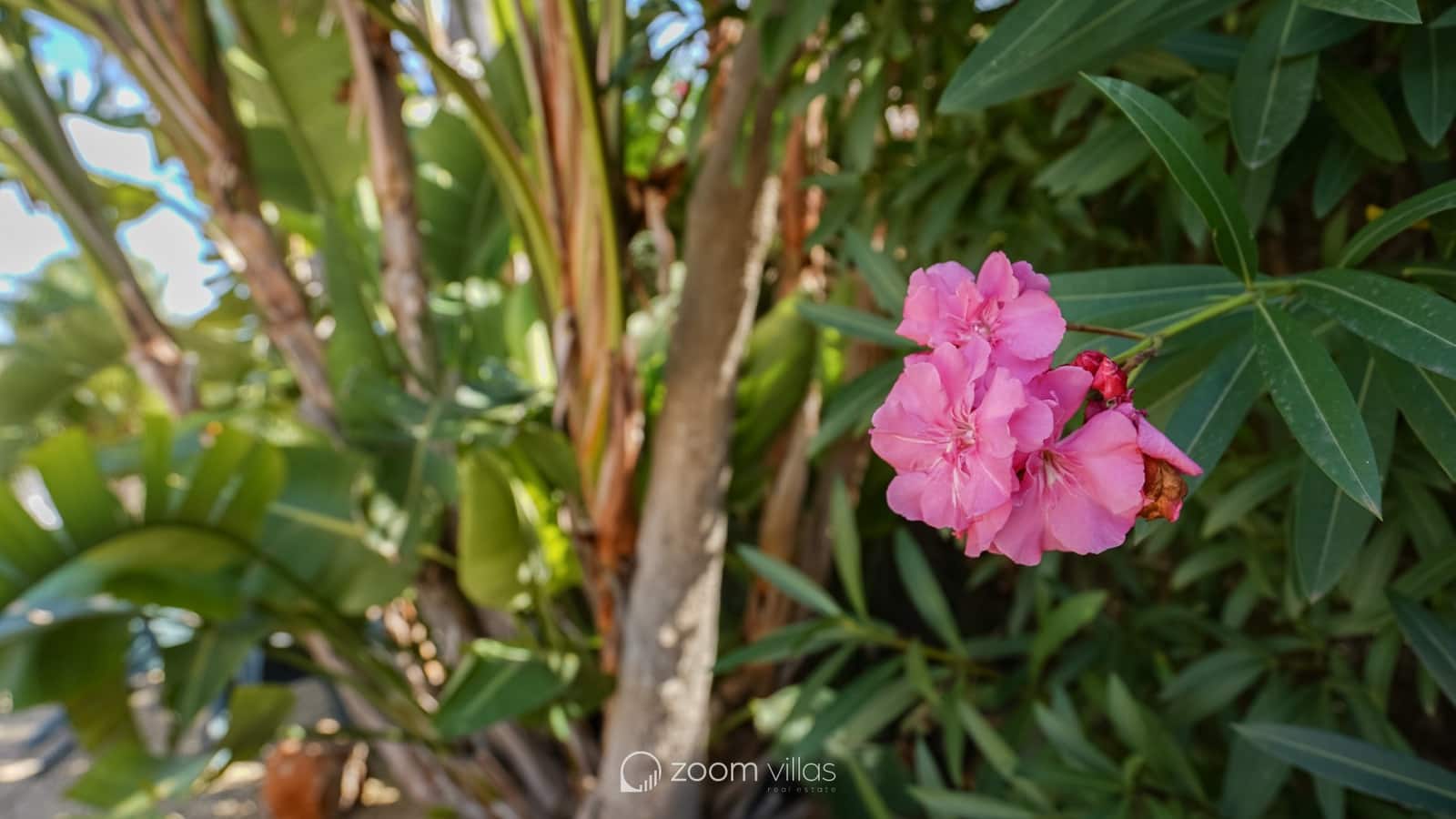 3 sovrum Villa till salu i Javea / Xabia med pool - 795 000 € (Ref: 9263155)