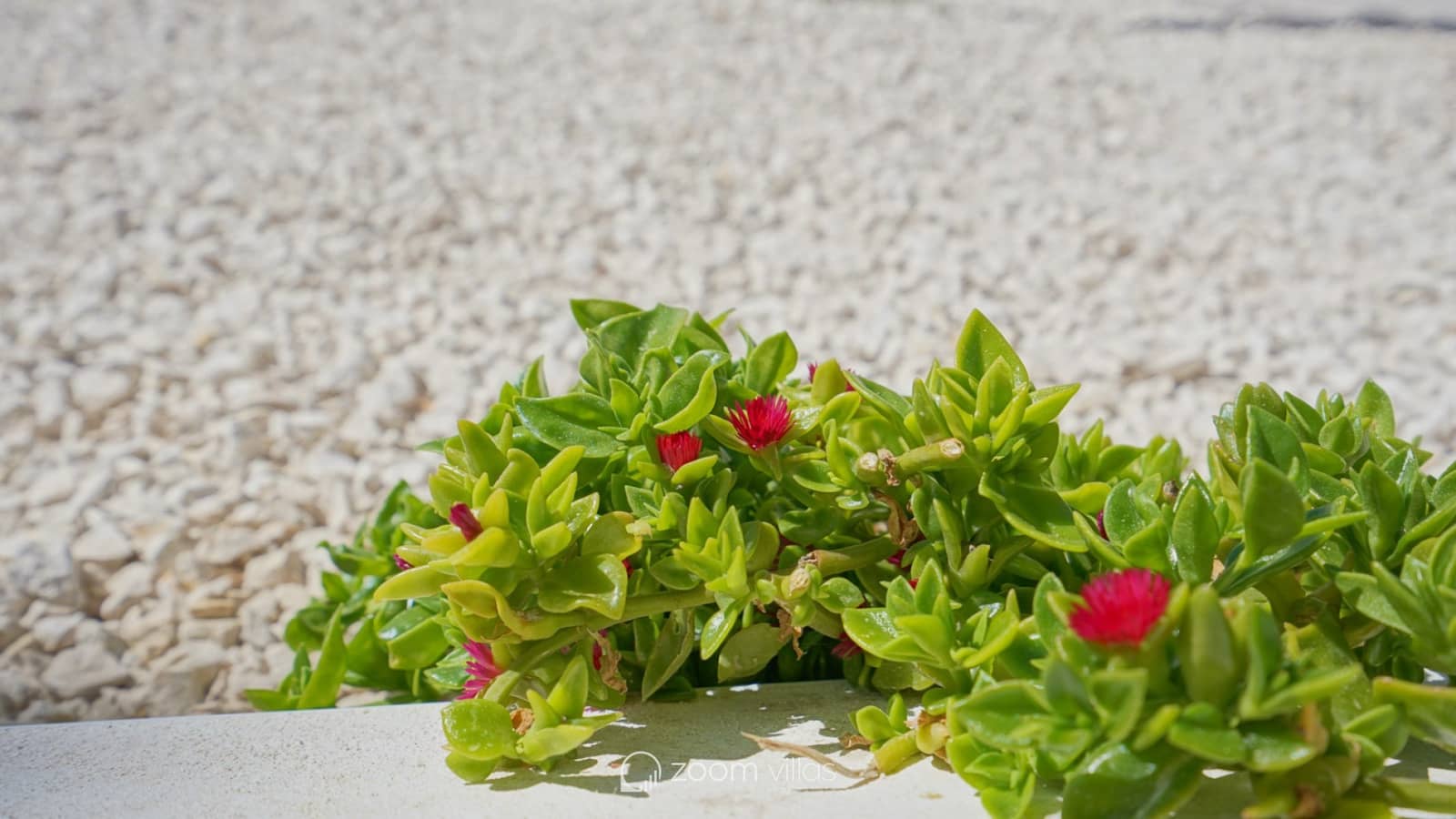 4 makuuhuone Huvila myytävänä paikassa Moraira mukana uima-altaan - 1 499 000 € (Ref: 9438331)